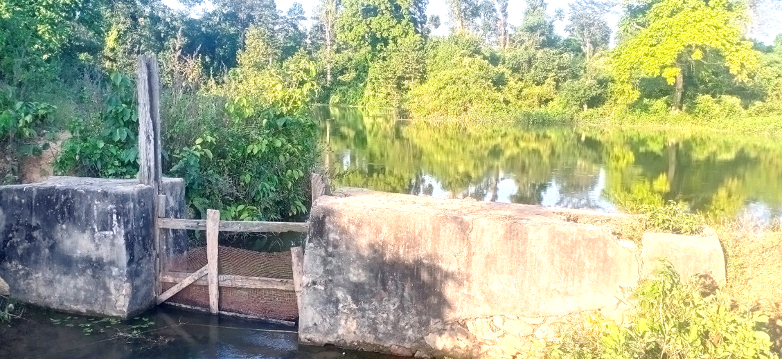 सुकना पोखरीको ड्याम र सिंचाई प्रयोजन